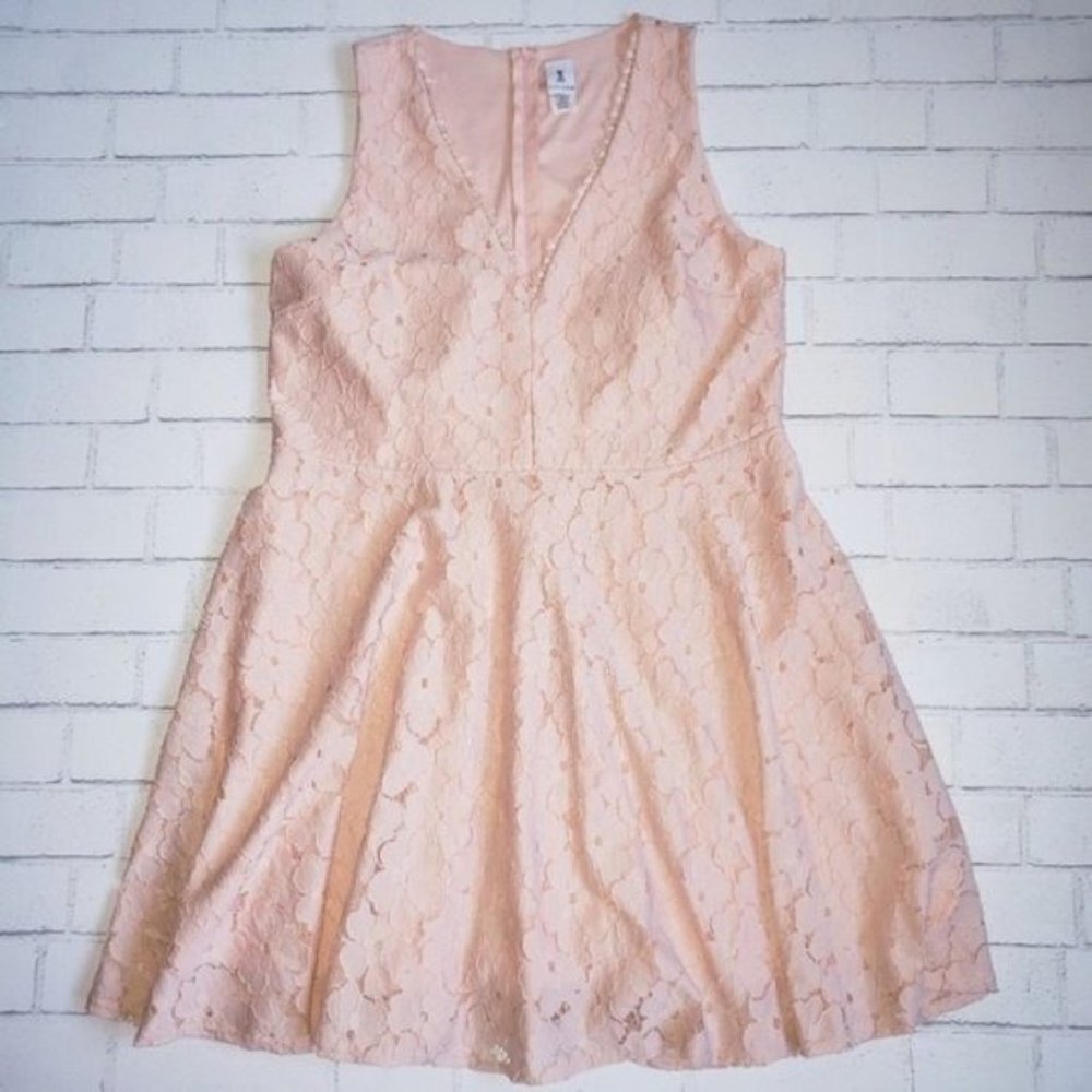 Lillian Peach Lace Fit And Flare Dress